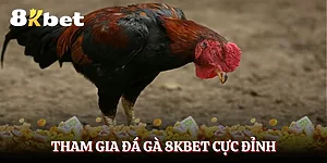 da-ga-8kbet